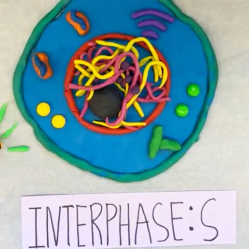 Seventh-graders use stop motion to tell the story of cells