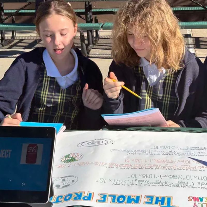Fifth-graders put Upper School chemistry students to the test