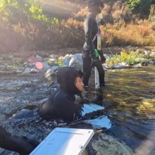Sophomores study steelhead in Big Sur
